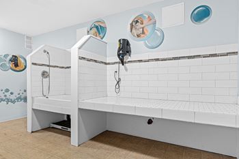 Dog washing station